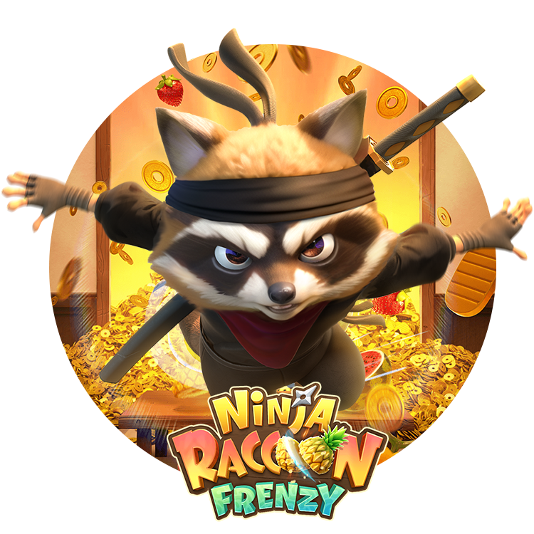 NINJA RACCOON FRENZY